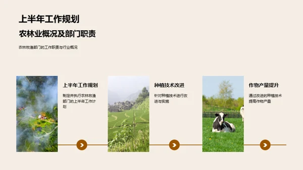 农林部门半年成果回顾