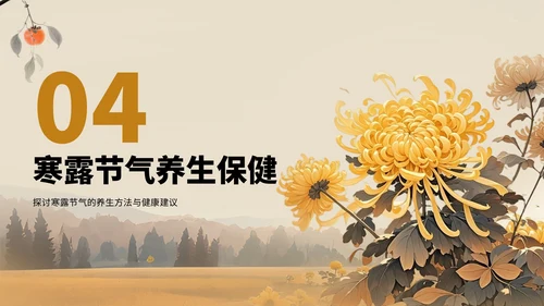 橙色中国风寒露节气PPT模板