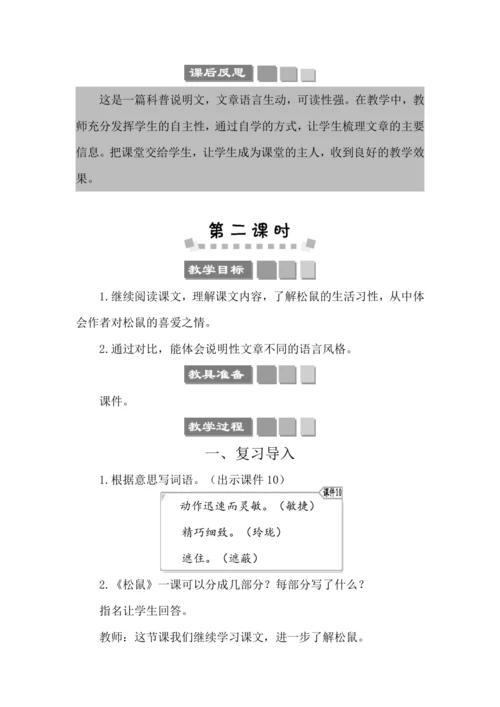 17 松鼠 教案