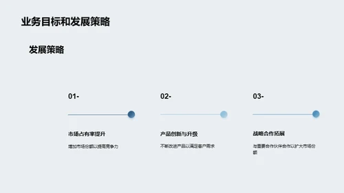 年度业务回顾与展望