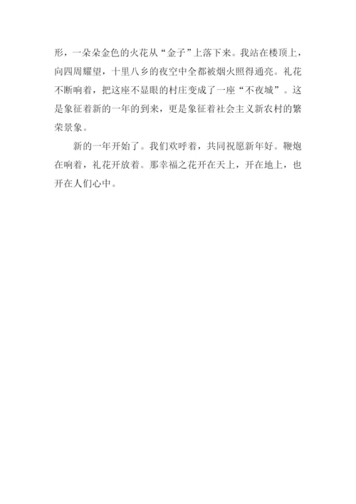 我看春晚作文.docx