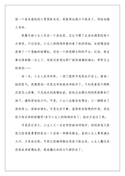 2022乌龟的三年级作文6篇
