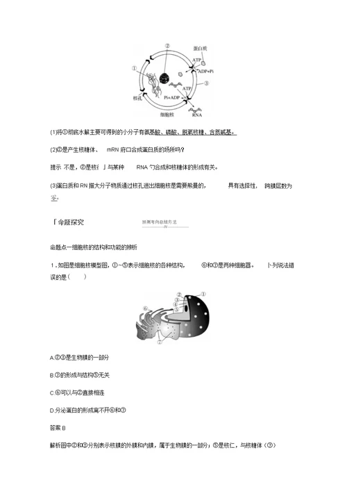 人教通用2020版高考生物大一轮复习第二单元细胞的基本结构和物质的运输第4讲细胞膜和细胞核讲义