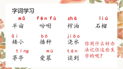 2 落花生 课件