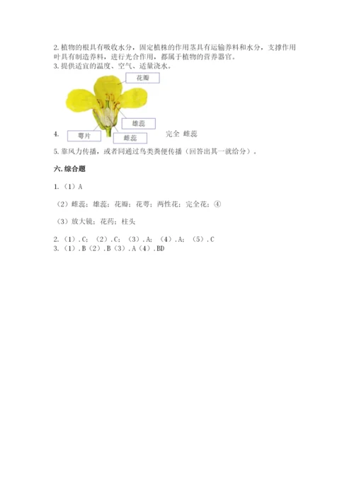 科学四年级下册第一单元《植物的生长变化》测试卷（考点精练）.docx