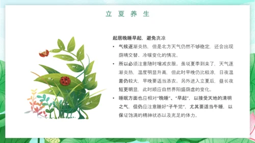 立夏习俗文化荷花池避暑PPT模板