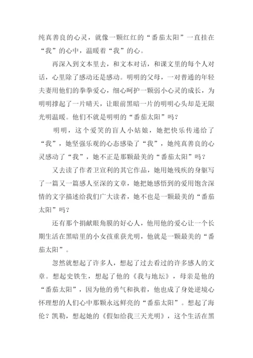 番茄太阳读后感.docx