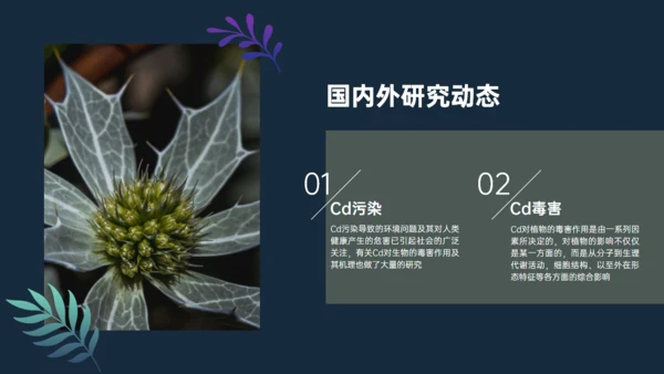植物与污染研究漂亮的叶子通用PPT模板