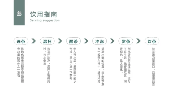 蓝灰简约风春茶产品介绍宣传手册