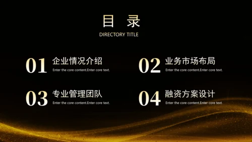 黑金风房地产融资计划书通用PPT模板