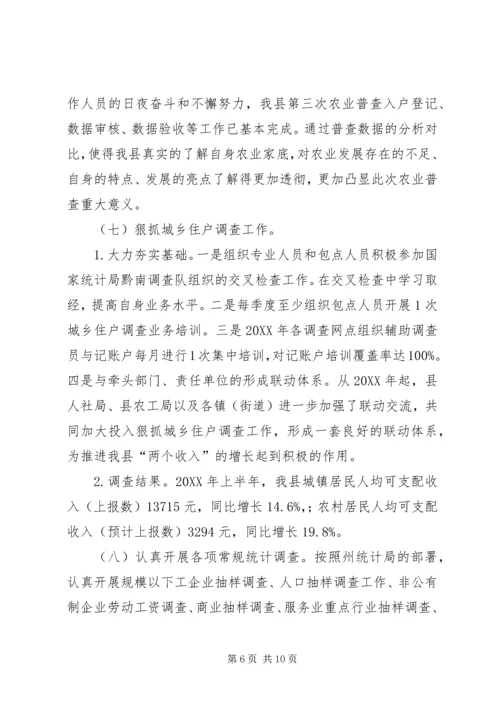 统计局上半年工作总结及下半年工作计划.docx