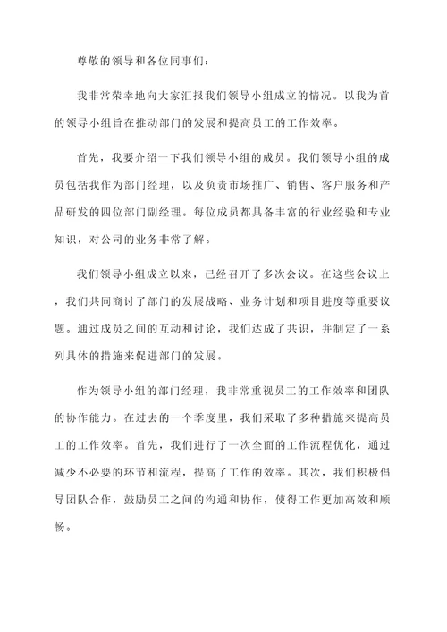 领导小组成立情况汇报
