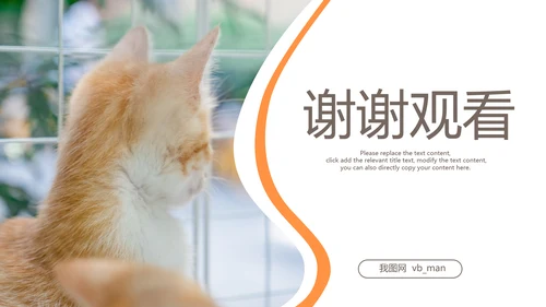 简约风宠物店商业计划书爱宠猫咪PPT模板