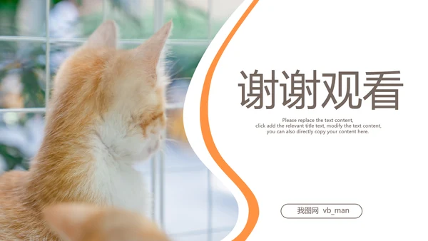 简约风宠物店商业计划书爱宠猫咪PPT模板
