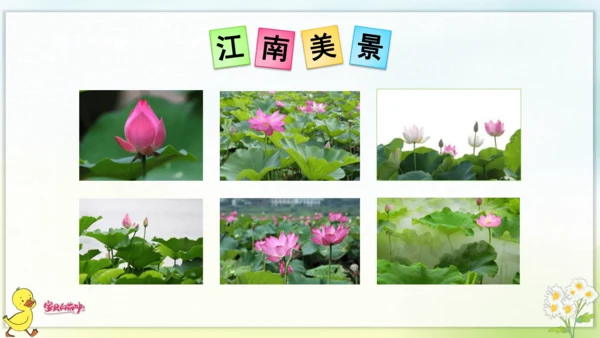 3 江南 课件