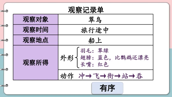 第15课《搭船的鸟》（第二课时）课件