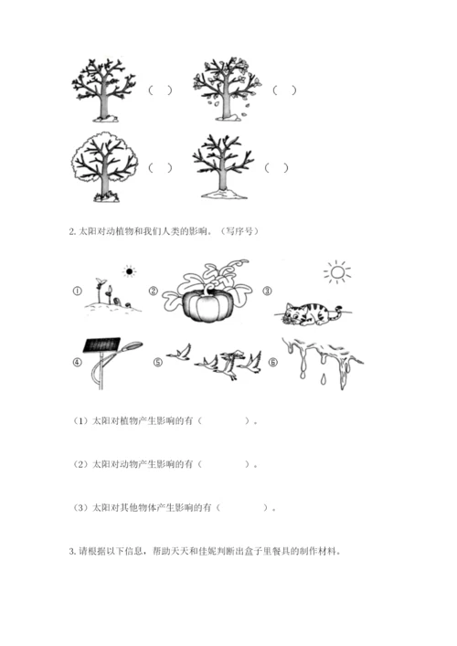 教科版小学二年级上册科学期末测试卷必考题.docx