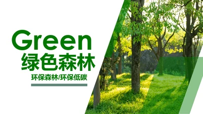 绿色森林湿地环境保护生态森林森业PPT模板