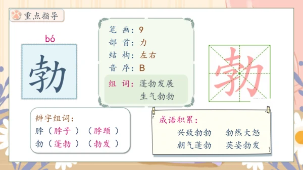 【核心素养】部编版语文四年级下册-13.猫 第1课时（课件）