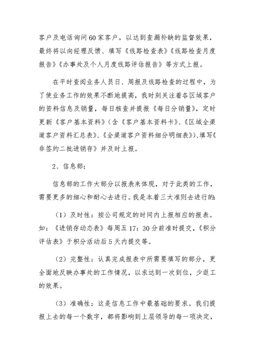 公司信息主管工作总结及XX年度工作计划