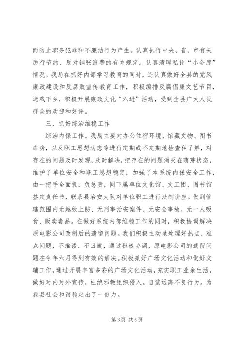 年文化体育工作总结与工作计划.docx