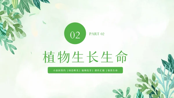 植物生长绿芽小树苗生长发芽成长ppt模板