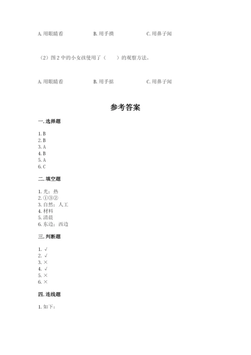 教科版小学二年级上册科学期末测试卷含答案【考试直接用】.docx