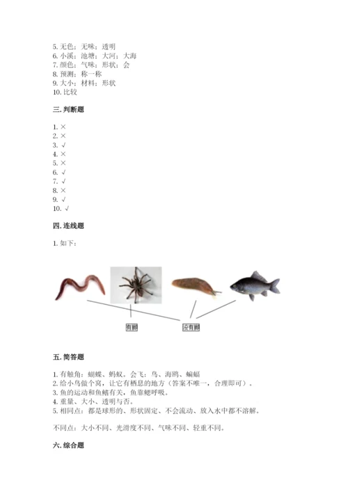 教科版一年级下册科学期末测试卷a4版打印.docx