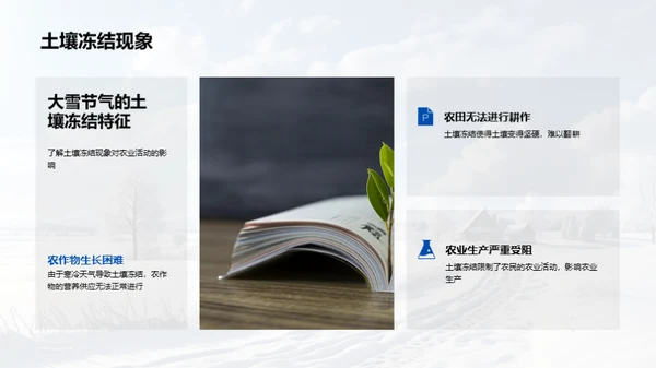 大雪节气的科学探索