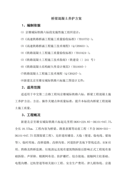 桥梁混凝土养护专项方案修改版.docx