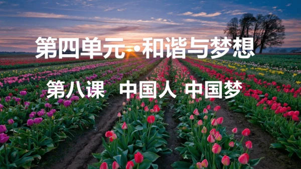 第四单元 和谐与梦想（单元复习课件）-【上好课】2024-2025学年九年级道德与法治上册同步精品课