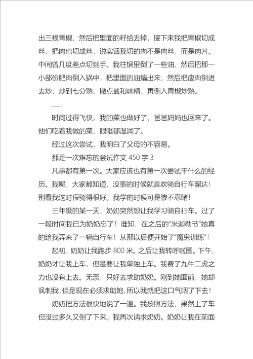 那是一次难忘的尝试作文450字