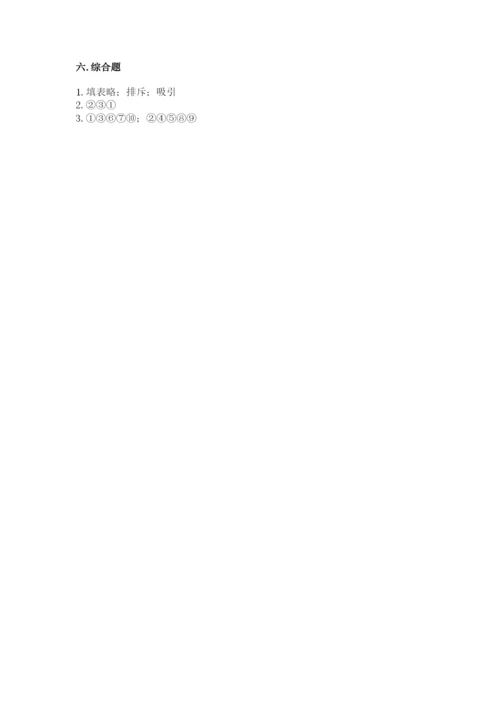 教科版小学科学二年级下册 期末测试卷含完整答案（考点梳理）.docx