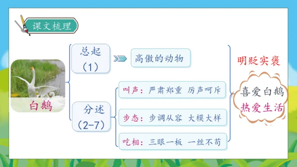 【核心素养】部编版语文四年级下册-15.白鹅 第2课时（课件）