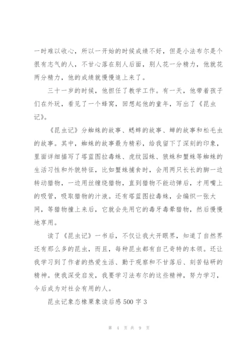 昆虫记名著象态橡栗象读后感500字4篇.docx