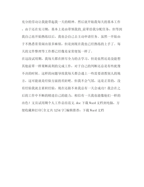 精编之试用期个人工作总结范文.docx