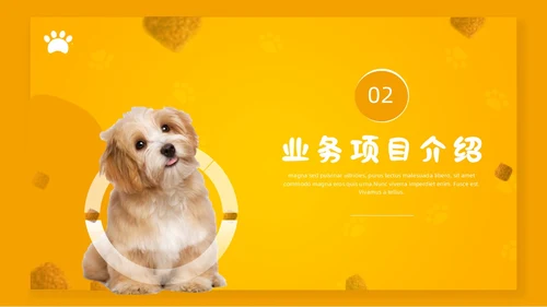 橙色简约宠物行业商业计划书PPT