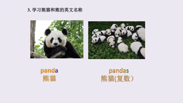 人教精通版小学英语三年级上册同步课件（共117张PPT)