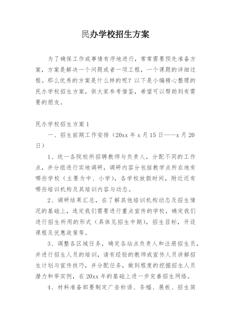 民办学校招生方案.docx