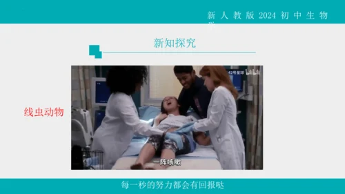 人教版生物七年级上册2.2.1《无脊椎动物》教学课件(共40张PPT)+视频素材