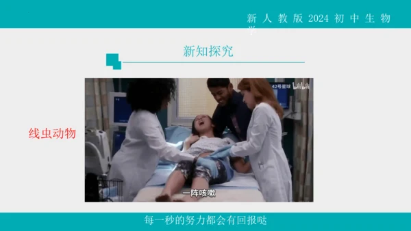 人教版生物七年级上册2.2.1《无脊椎动物》教学课件(共40张PPT)+视频素材