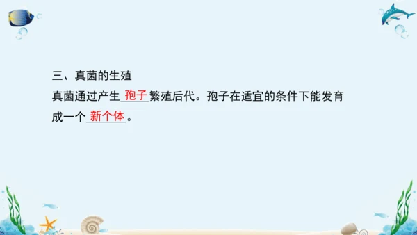 人教版八年级生物上册5.4《细菌和真菌》复习课件（含31张ppt）