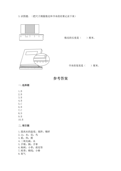 教科版科学一年级上册期末测试卷含答案（最新）.docx