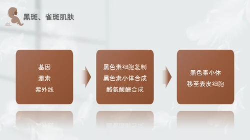 高级灰和棕色简约实拍风美容护肤美容知识培训PPT