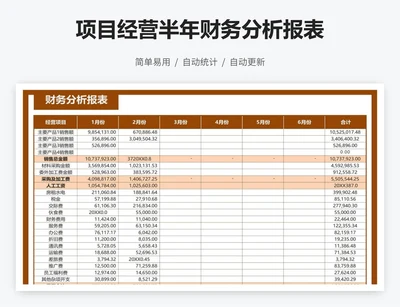 项目经营半年财务分析报表