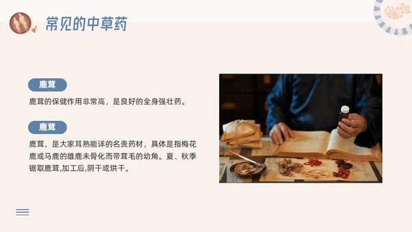 蓝色简约神奇中药草PPT模板宣传PPT动态PPT中医药