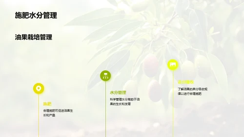 油果种植之全方位解析