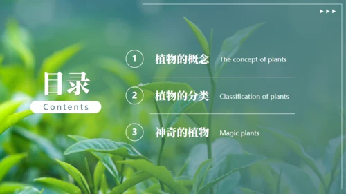 植物介绍笔记植物分类知识科普通用PPT模板