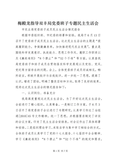 梅殿龙指导双丰局党委班子专题民主生活会 (4).docx
