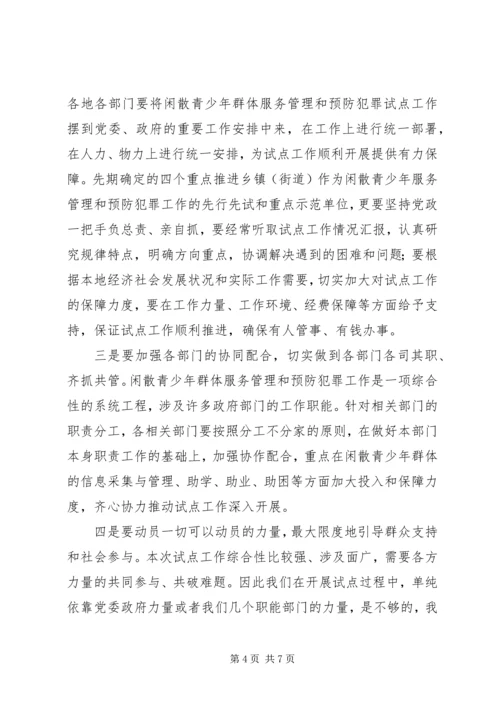 副书记在青少年管理工作会讲话.docx